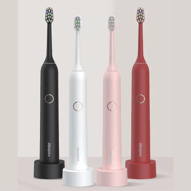 AQ – 102 Brosse à Dents Sonic Electrique