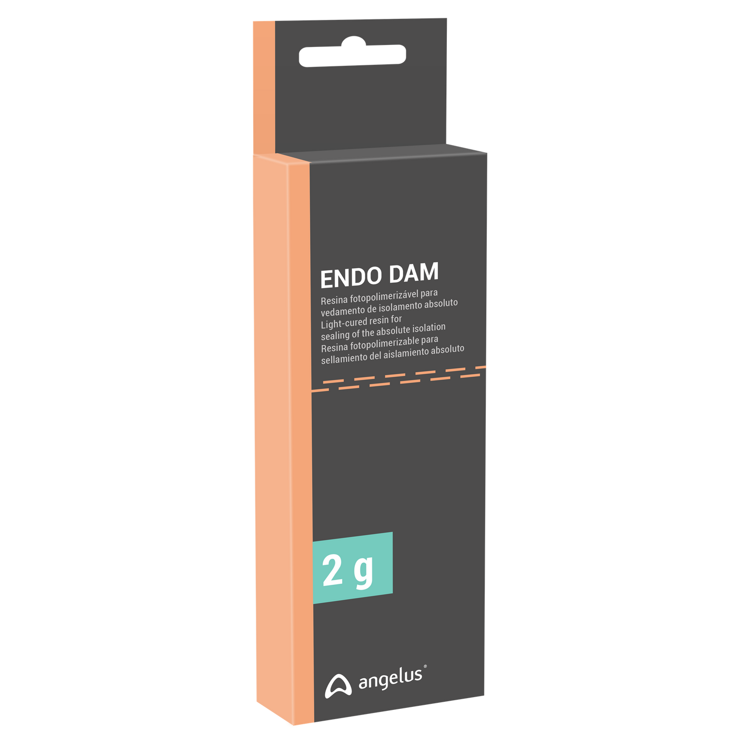 Endo Dam